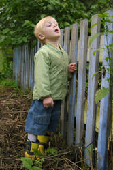 Similar image 302001