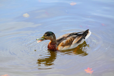 Similar image 302019