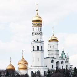 Similar image 302082