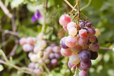 Similar image 302145