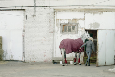 Similar image 302200