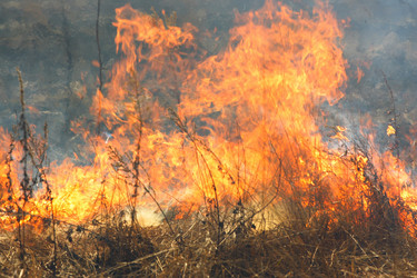 Similar image 302222