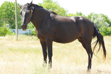 Similar image 302254