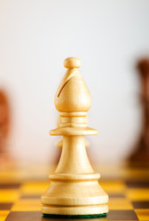 Similar image 302255