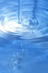 Similar image 302310