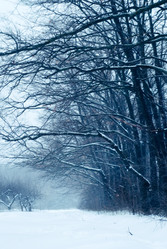 Similar image 302312