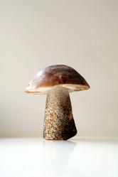 Similar image 302334