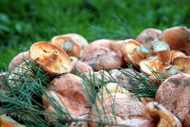 Similar image 302347