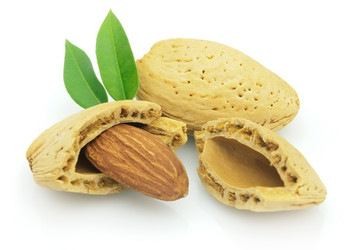 Similar image 302411