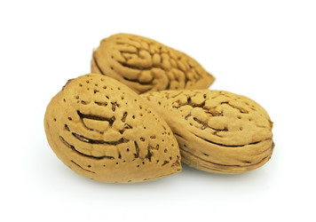 Similar image 302412