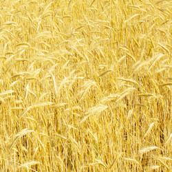 Similar image 302565