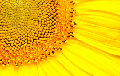 Similar image 302572