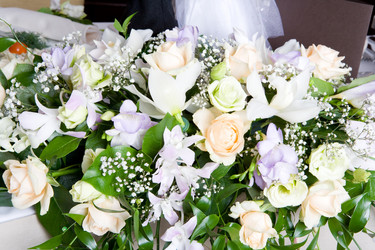 Similar image 302577