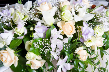 Similar image 302580