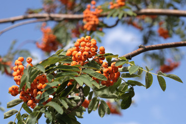 Similar image 302589