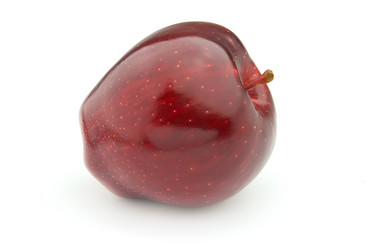 Similar image 302662