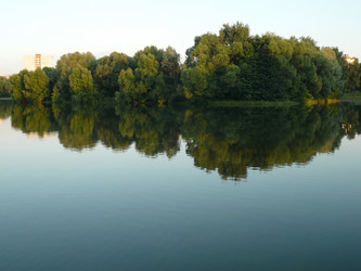 Similar image 302721