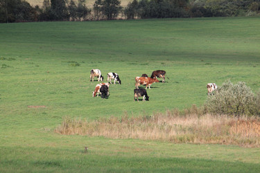 Similar image 302765