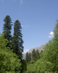 Similar image 302774