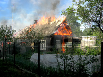 Similar image 302780