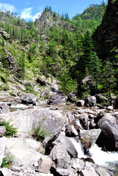 Similar image 302783