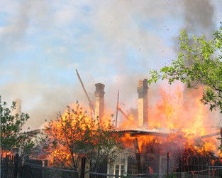 Similar image 302795