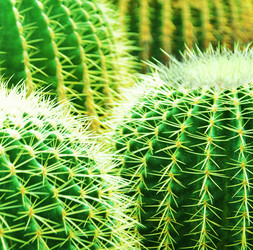 Similar image 302801