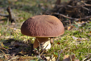 Similar image 302809