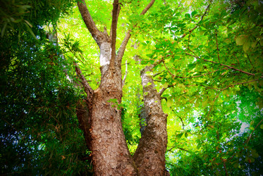 Similar image 302903