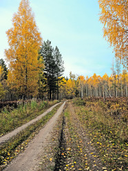 Similar image 303080