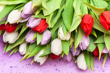 Similar image 303144