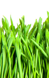 Similar image 303146