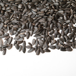 Similar image 303147