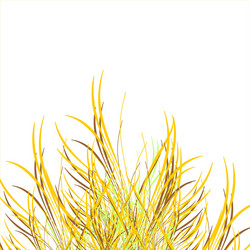 Similar image 303203