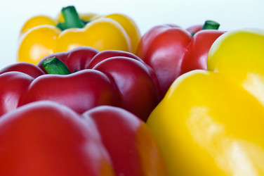 Similar image 303251