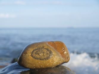 Similar image 303270