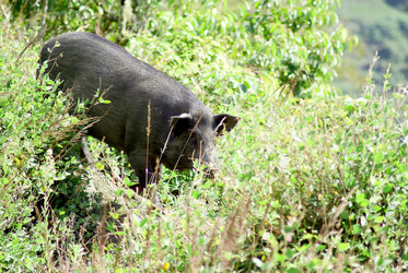 Similar image 303326