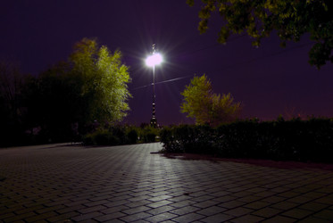 Similar image 303329