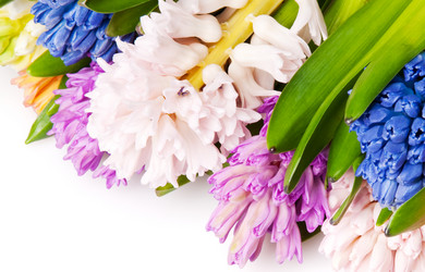 Similar image 303385