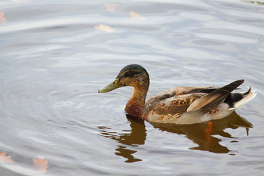 Similar image 303394