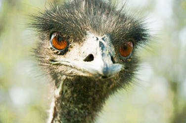 Similar image 303397