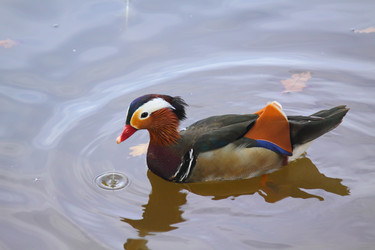 Similar image 303401