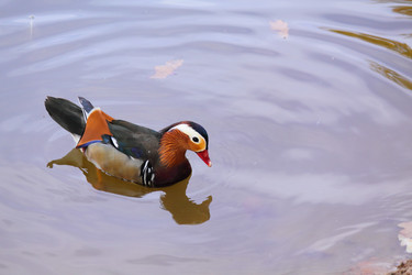 Similar image 303402