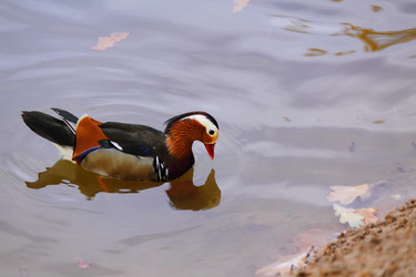 Similar image 303403