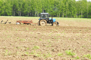 Similar image 303404