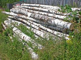 Similar image 303446