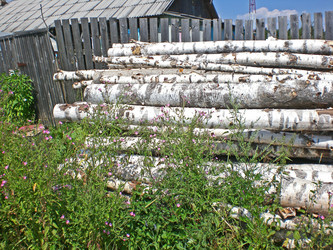 Similar image 303448