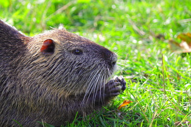 Similar image 303469