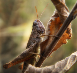 Similar image 303472