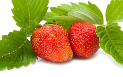 Similar image 303509